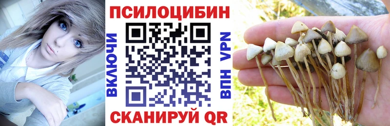 хочу   Малаховка  hydra онион  Галлюциногенные грибы Magic Shrooms 
